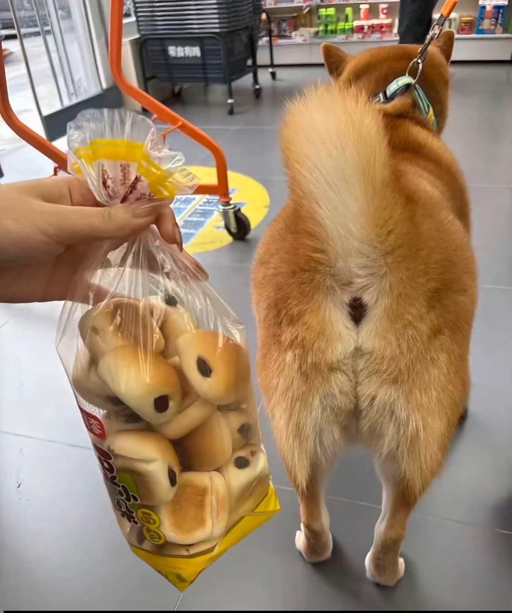 IamSasdha's tweet image. หยุดสักทีกับการทารุณสัตว์ คนไทยจะต้องไม่ทนกับการตัดก้นสุนัขมาทำเป็นขนม