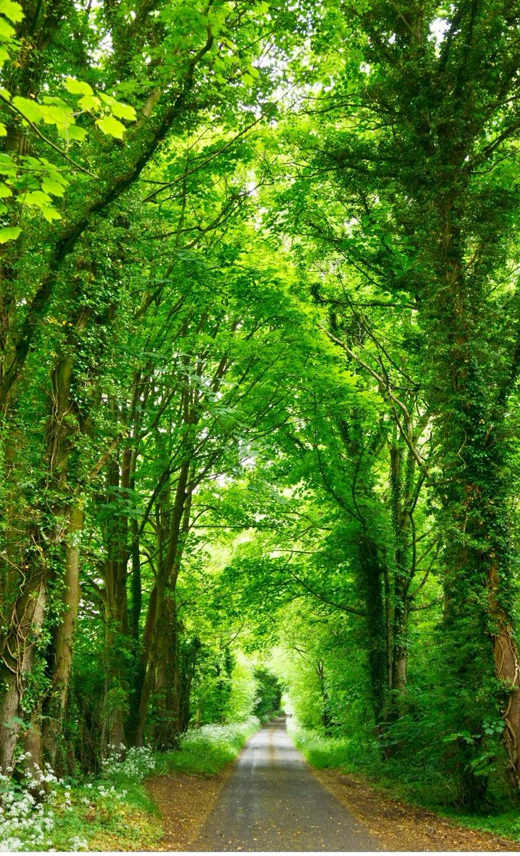 guptaaarti1902's tweet image. The Earth has music for those who listen." (Shakespeare)
#ListenToNature #EarthSounds #NatureArt #Peaceful
