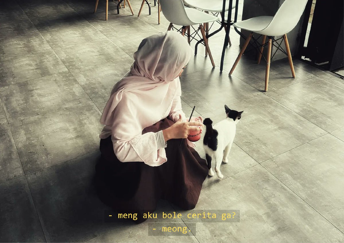 owliciyo's tweet photo. in a world full of cheating and lies 
you'll find me sitting with a random cat https://t.co/6ezhrK6kO0