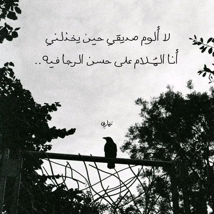 Lobnabdallah's tweet photo. https://t.co/ebuKSOXqmu