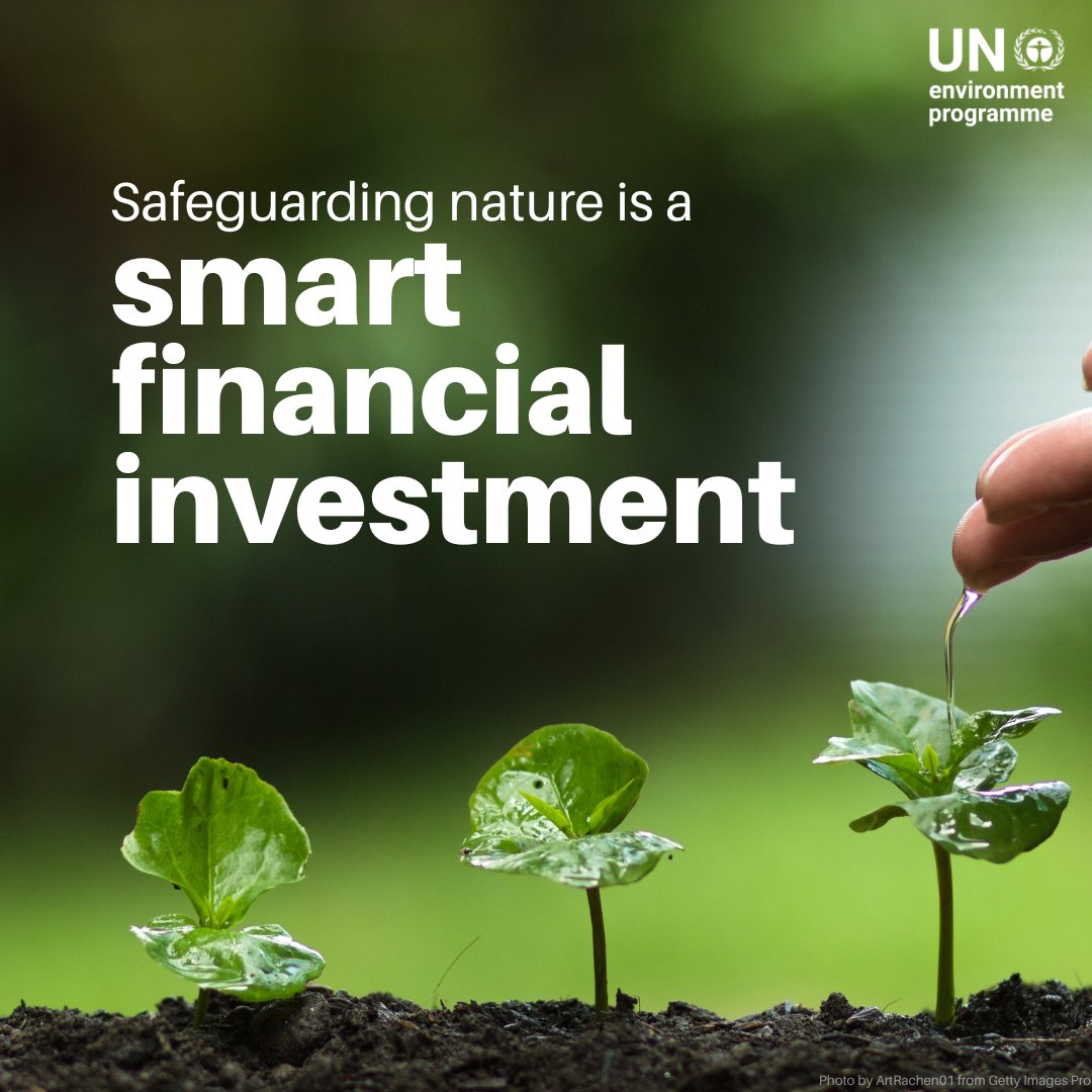 UNEP's tweet image. The frequency of disasters has quadrupled in the past two decades, yet the healthy ecosystems that naturally help reduce these risks are vanishing.

Investing in nature offers a smart, cost-effective way to protect lives and strengthen economies.

Learn more:…