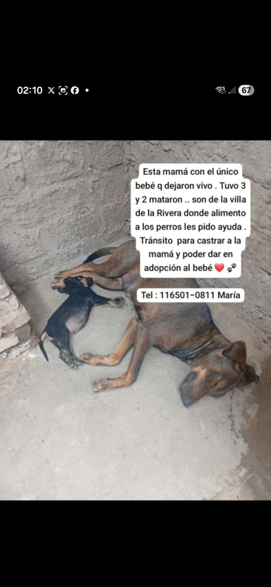 Maria Ines (@mariain77662119) on Twitter photo 