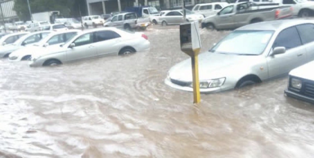 Fadzayi Mahere🇿🇼 tweet media