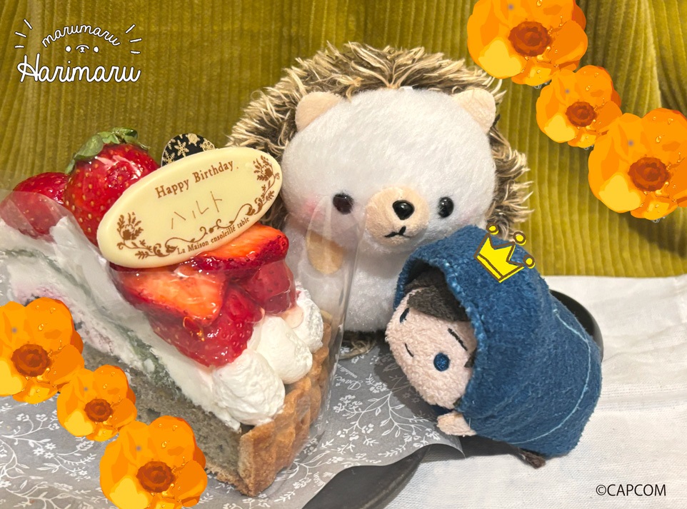 ooHARIMARU's tweet photo. 🏵️∽∽∽∽∽∽∽∽∽∽∽∽∽∽∽🏵️

　　　　  HAPPY BIRTHDAY🎂
　　　　　　  ハルトくん

🏵️∽∽∽∽∽∽∽∽∽∽∽∽∽∽∽🏵️

ハルトくん おたんじょうび おめでとうございます！

おなまえいりのケーキ プレゼントです..!!🎁
ことしも ぼくといっしょに たくさんあそびましょう✨

#はりまる🦔#囚われのパルマ