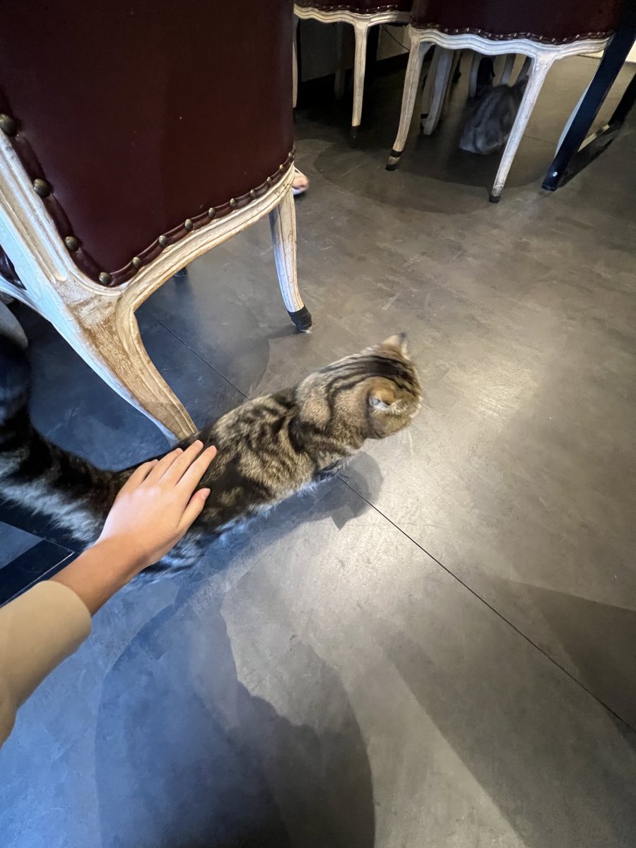 れいこ (@qiqiggde) / Posts / X