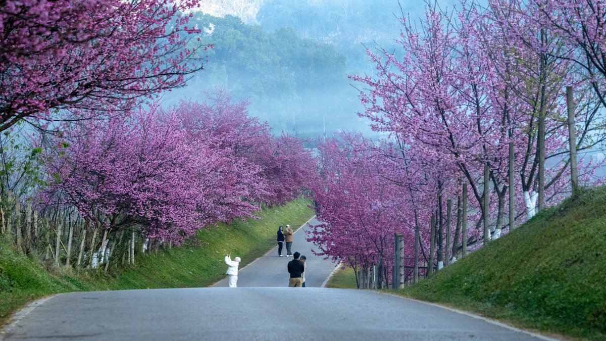 เพราะคนรุ่นใหม่ ไม่เคยเห็นว่า ก่อนที่ท่านไป มันเป็นยังไง