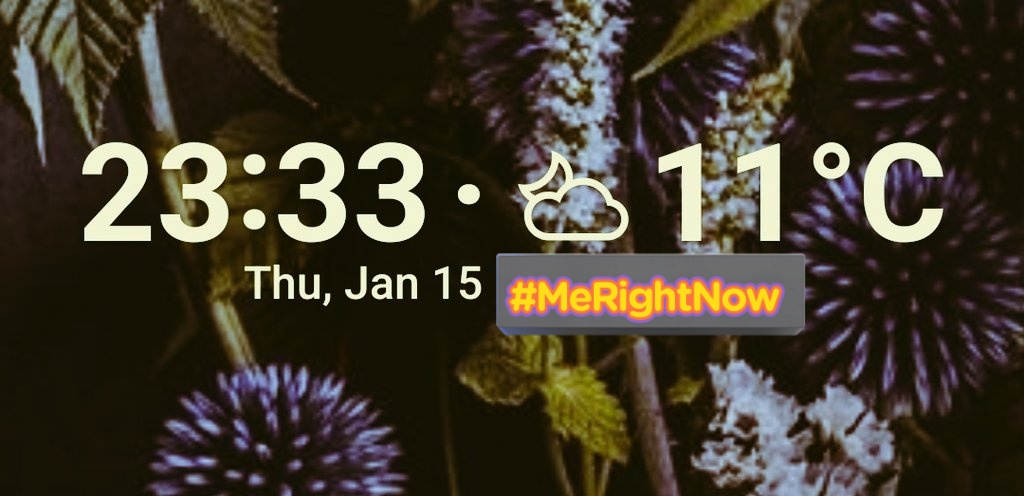 ❄️❄️❄️❄️❄️