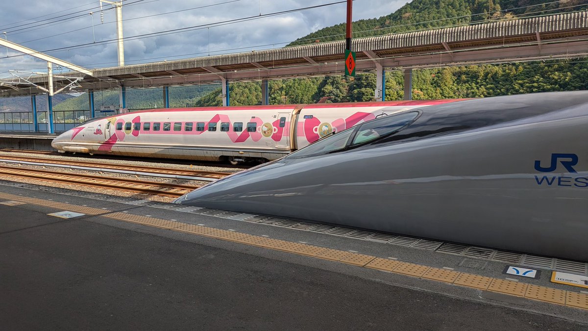 みったん。💙💛🌻 (@mitta_jp) / Posts / X