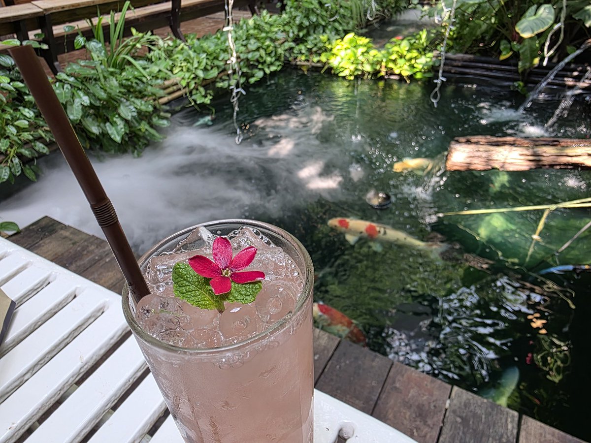 ThecornerKnight's tweet image. บรรยากาศ ดูปลา หลังจากประชุมเสร็จ 🖤