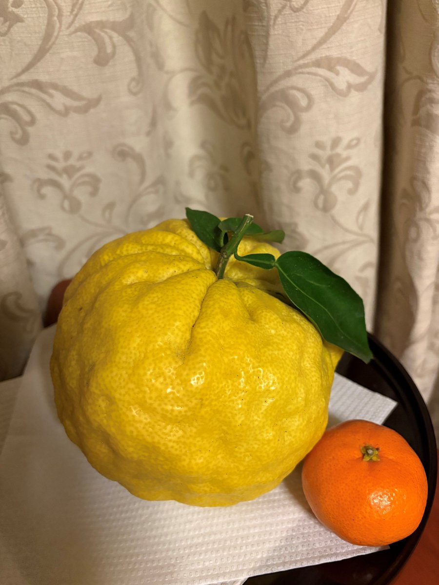 JPEmbassyAU's tweet image. Embassy staff #meetourstaff recently returned to #Ehime &amp;amp; wanted to share some hometown love! Pictured is the oldest hot spring in🇯🇵#Dogoonsen ♨️, Matsuyama castle 🏯, Giant "Oni" yuzu found in Ehime 🍋&amp;amp; statue of Haiku poet Shiki Masaoka who made baseball big in #Japan⚾️