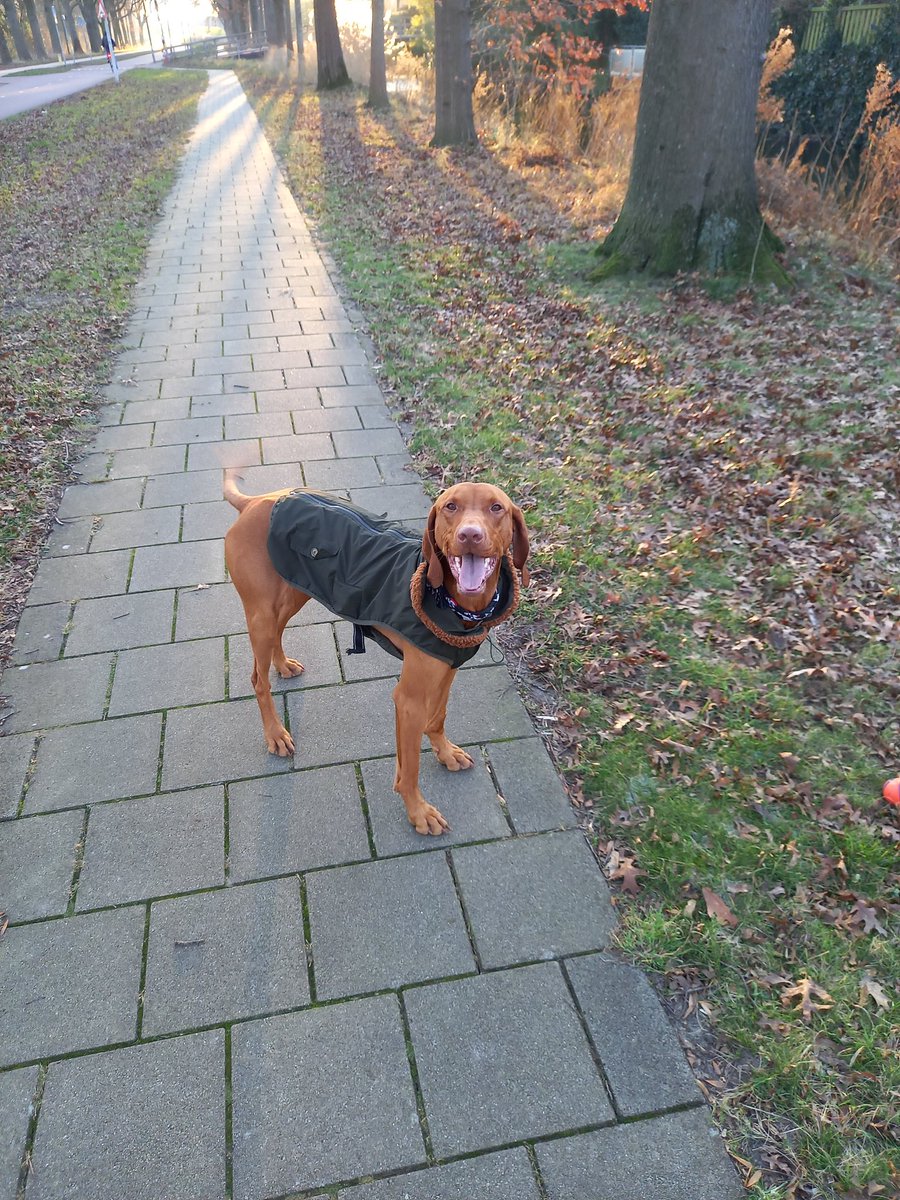 Pluis19701's tweet image. Goedemorgen luitjes😁straks weer lekker met m'n maatje Fredo erop uit trekken voor een lange fijne wandeling, vorige week ging het door winterse omstandigheden niet door helaas
M'n infectie begint goed te genezen, blij mee👍maak er een mooie vrijdag van mensen❤️😘💋