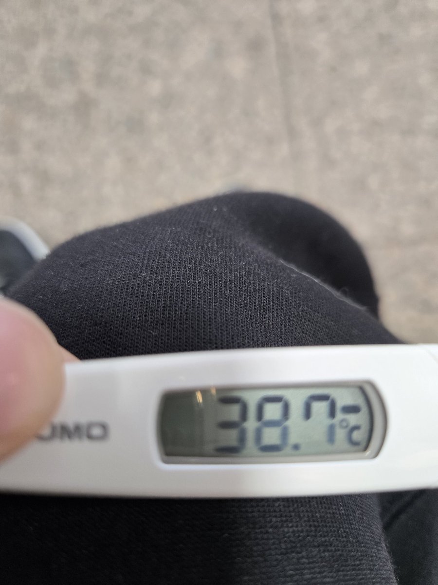 Post by ととみ.サブ垢 on X: ｴｯｸﾞ