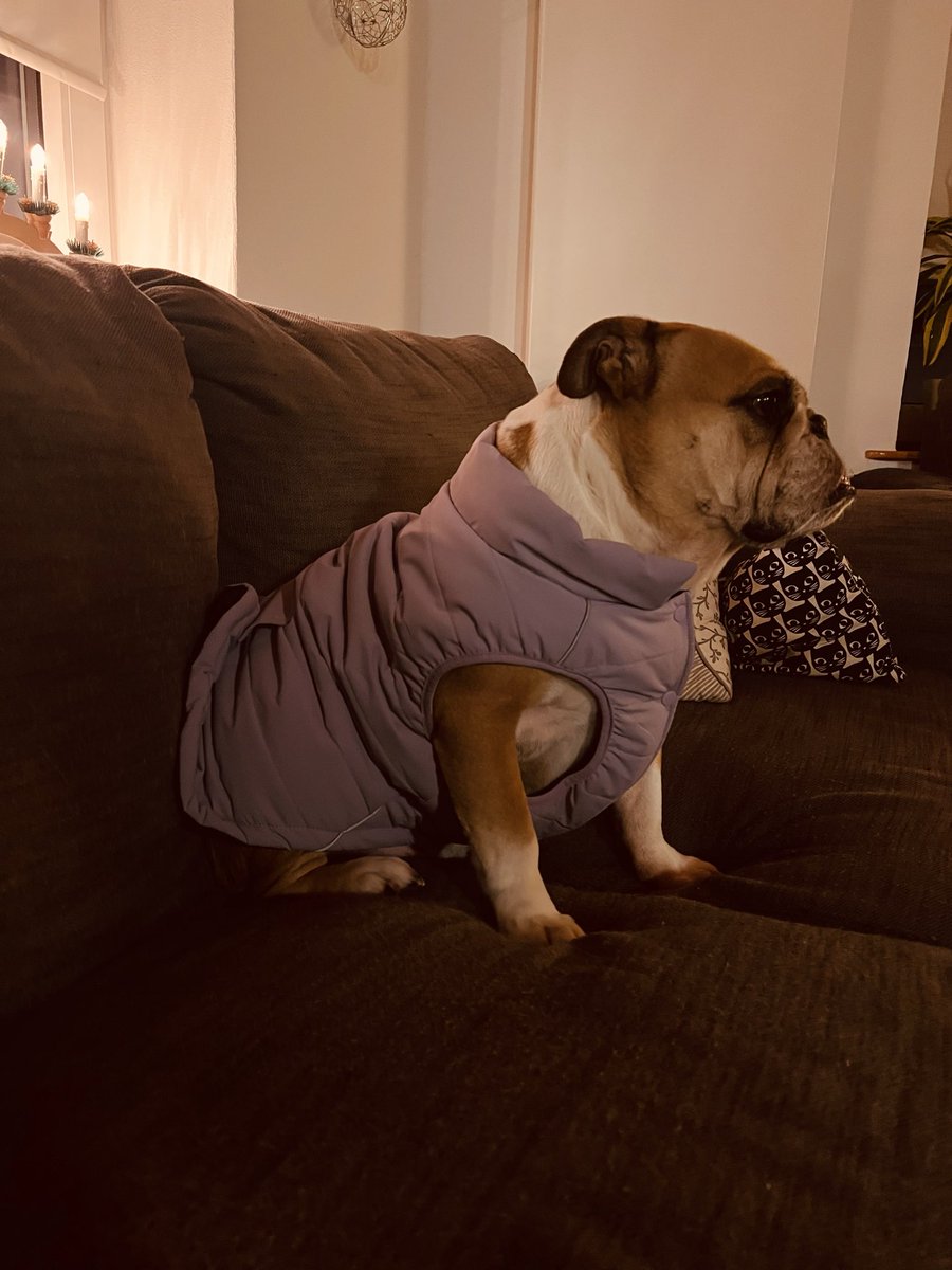 Lobotomy Games n Gains tweet media