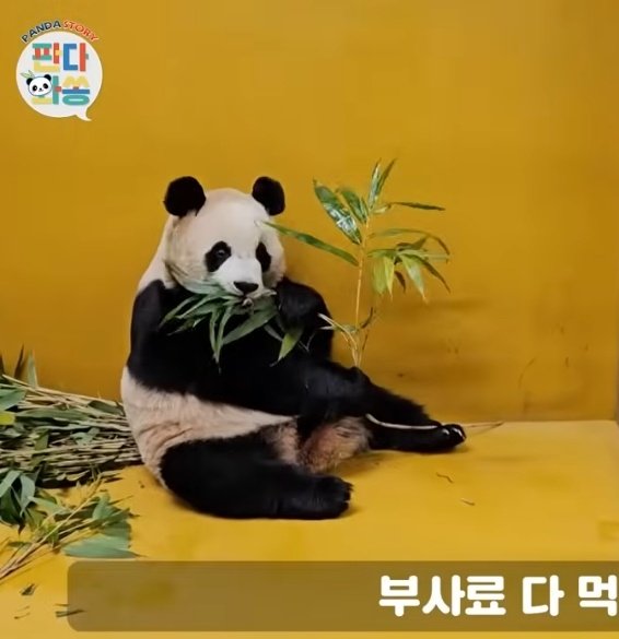 뭔가 느낌이 비슷해