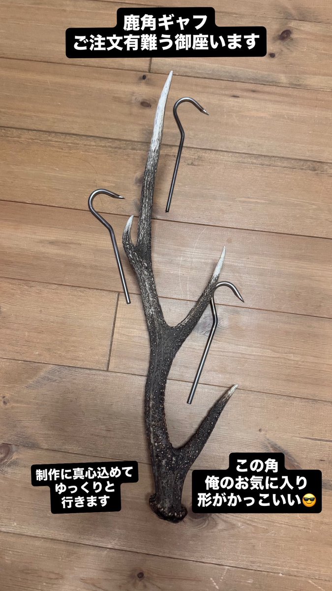 ZeusDisc's tweet image. 鹿角ギャフ(た組ギャフ)ご注文有難う御座います。
真心込めて俺お気に入りの鹿角で作成させて頂きます。完成を楽しみに待ってて下さい。
#鹿角ギャフ 
#た組ギャフ