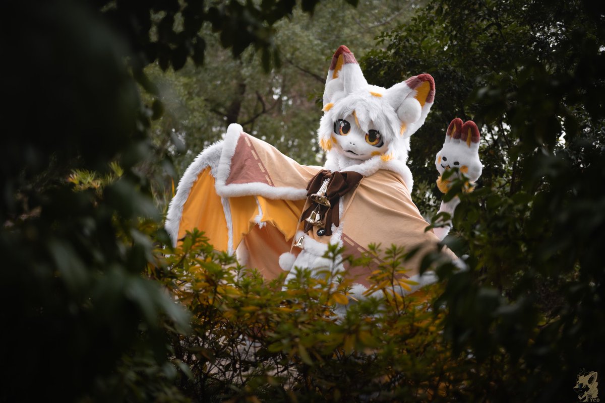 Wandering through the forest💛

📷: <a href="/Furry_Freo/">糯米是只龙</a> 
#FursuitFriday #fursuit #SymphonTail