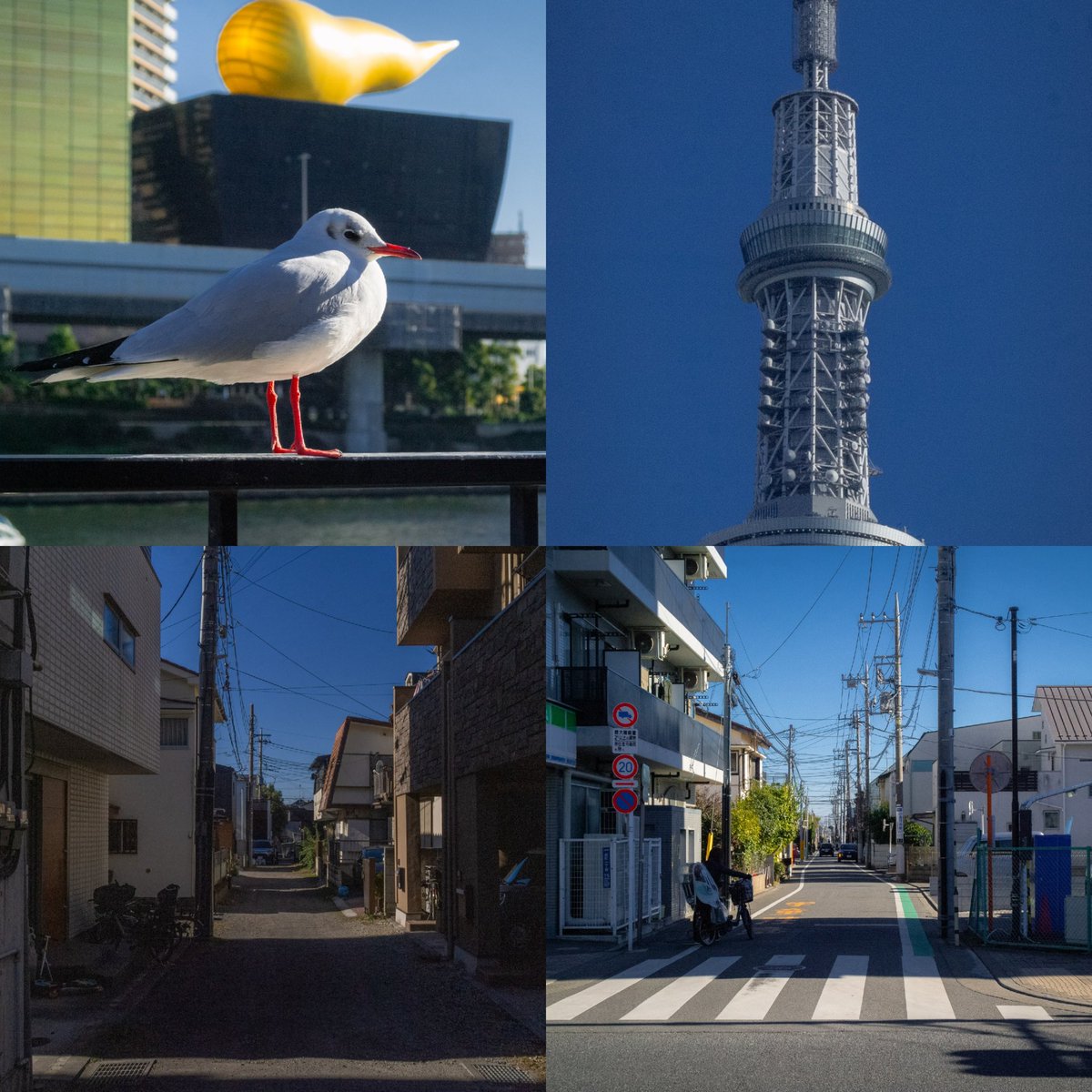 Elution2002's tweet image. 도쿄... 즐거웠어요 :)