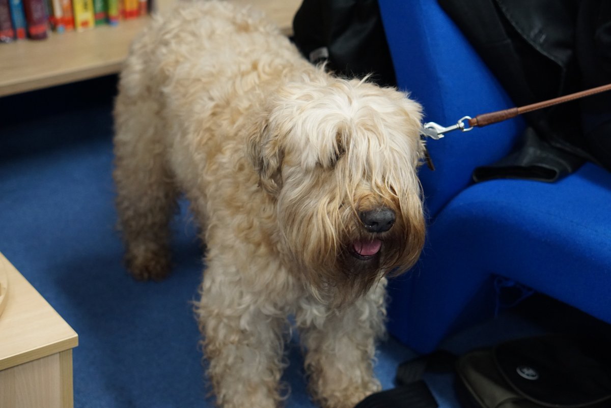 RGS Prep School tweet media