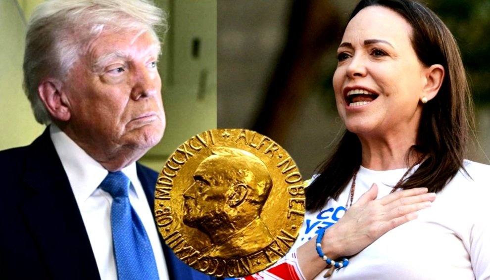 La muestra más fiel que nadie sabe para quien trabaja, se arrodilló María Corina Machado, después que Donald Trump la humillada públicamente, esta es la muestra que no les importa el país, no les importa la gente, les importa SU BENEFICIO PROPIO. Venezuela sin rumbo. 🇻🇪🇺🇸