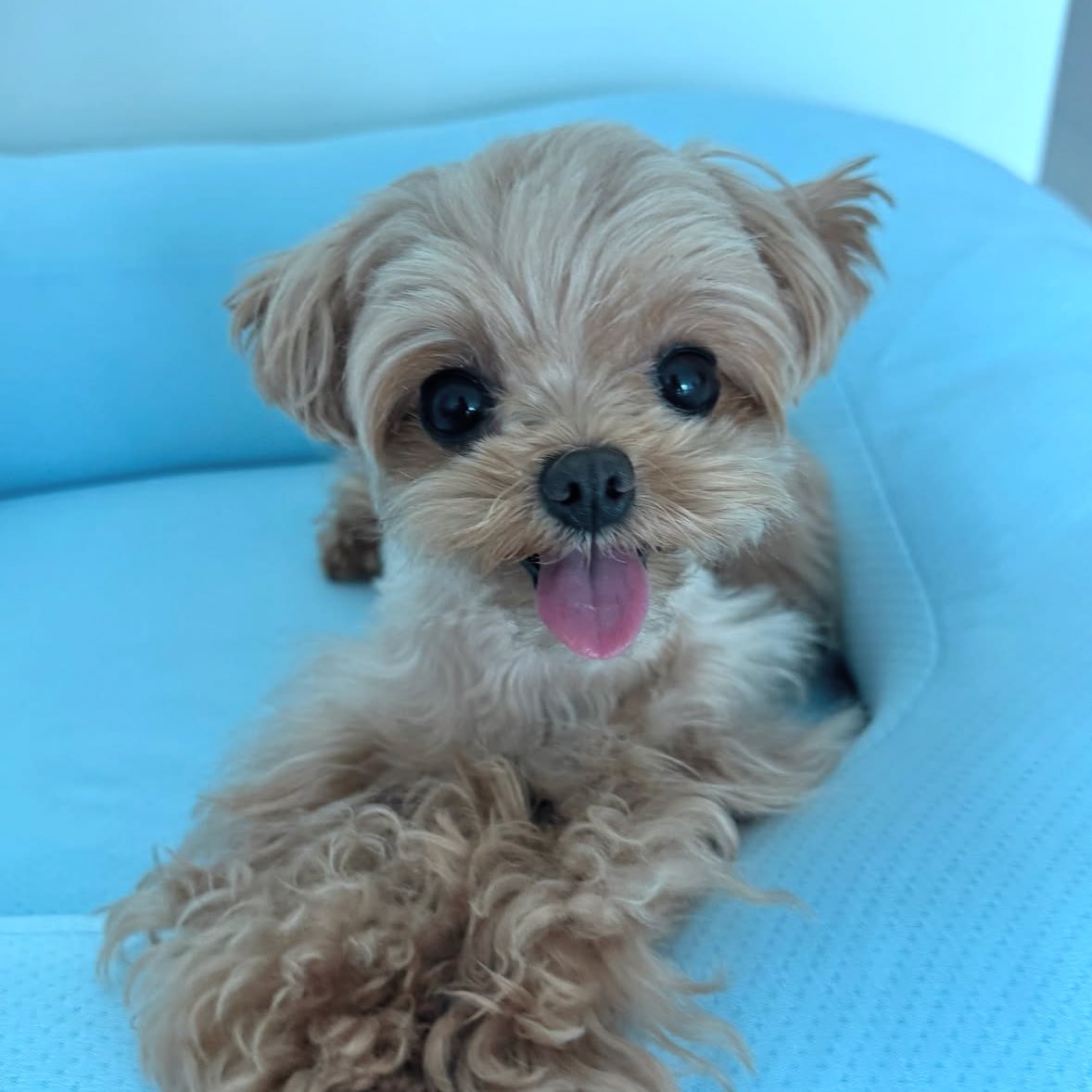 성찬이 오늘 완전 달달이 같애