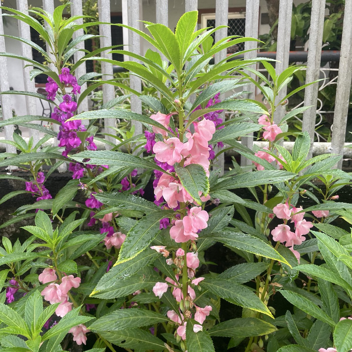 forthseasons's tweet image. 