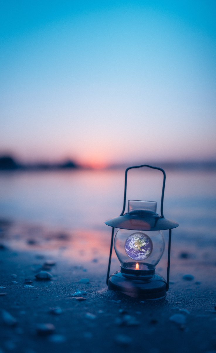 shudge's tweet image. 新しく植えた花が綺麗に咲いて庭が華やかになった 👨‍👩‍👧‍👦