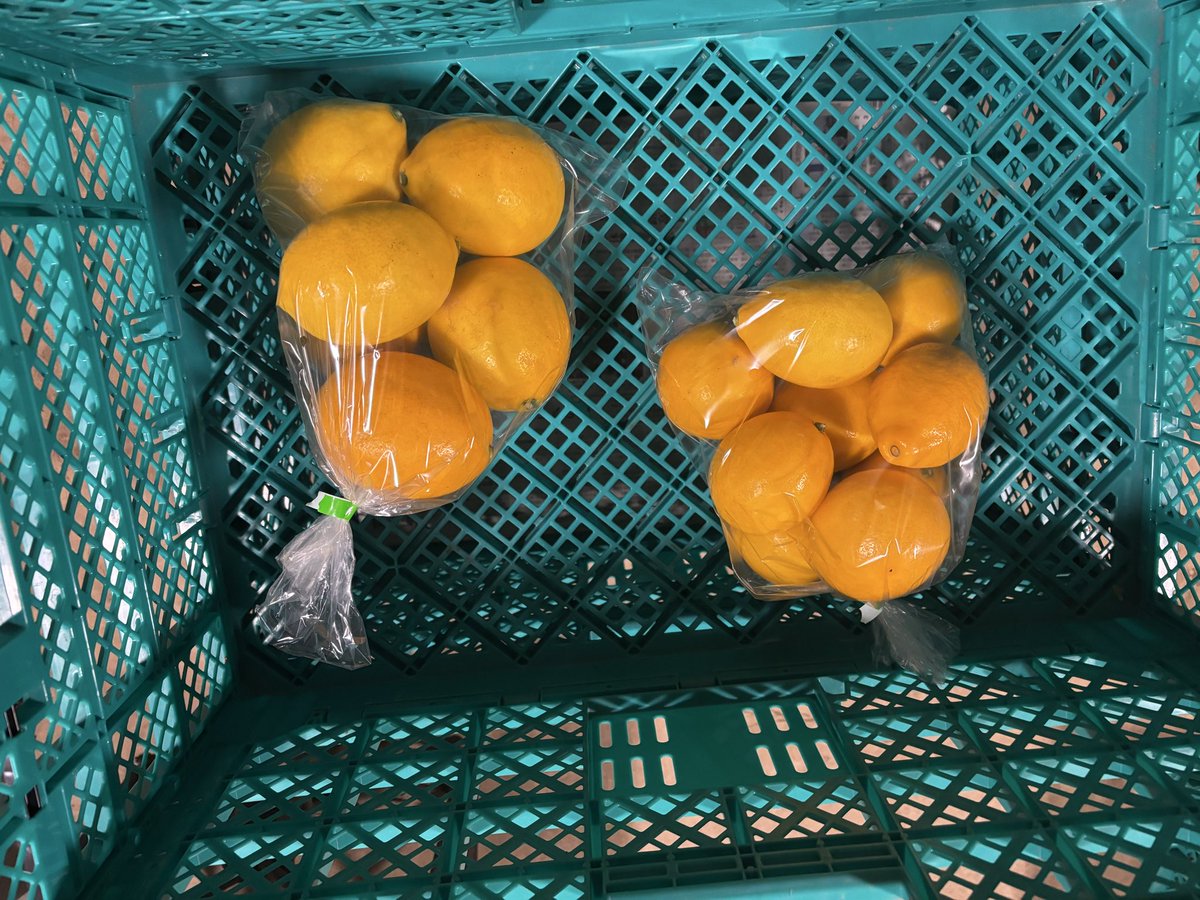 勿体無い加工品と美味しい規格外小玉レモンも明日明後日販売します、 1