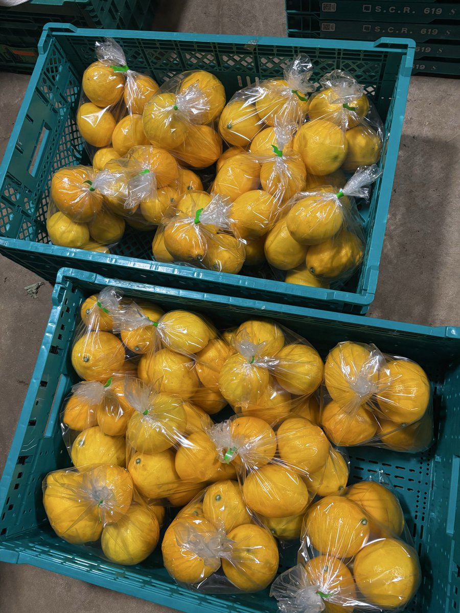 勿体無い加工品と美味しい規格外小玉レモンも明日明後日販売します、 1
