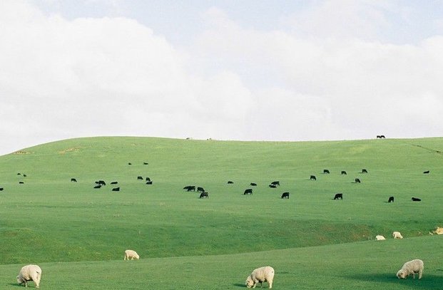 malady007's tweet image. 今日は珍しく電車が時刻表通りに来た 🐺