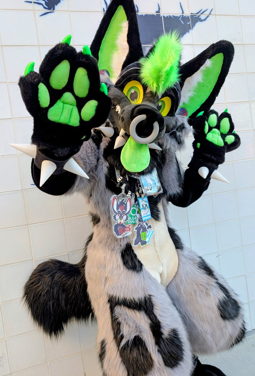 MoreFurLess's tweet image. Whose the first MFL Fam we spotted at #FurCon2026? 
The very toothy

 bsky.app/profile/milo-k…