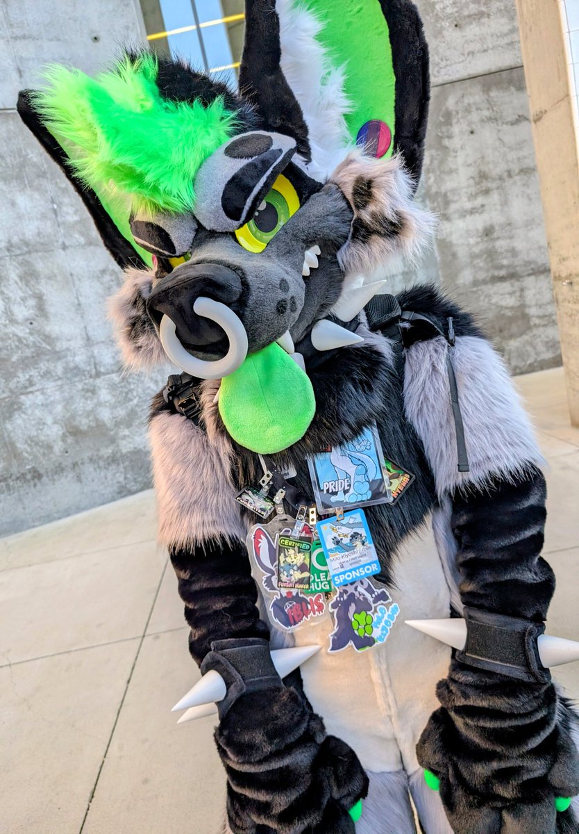 MoreFurLess's tweet image. Whose the first MFL Fam we spotted at #FurCon2026? 
The very toothy

 bsky.app/profile/milo-k…