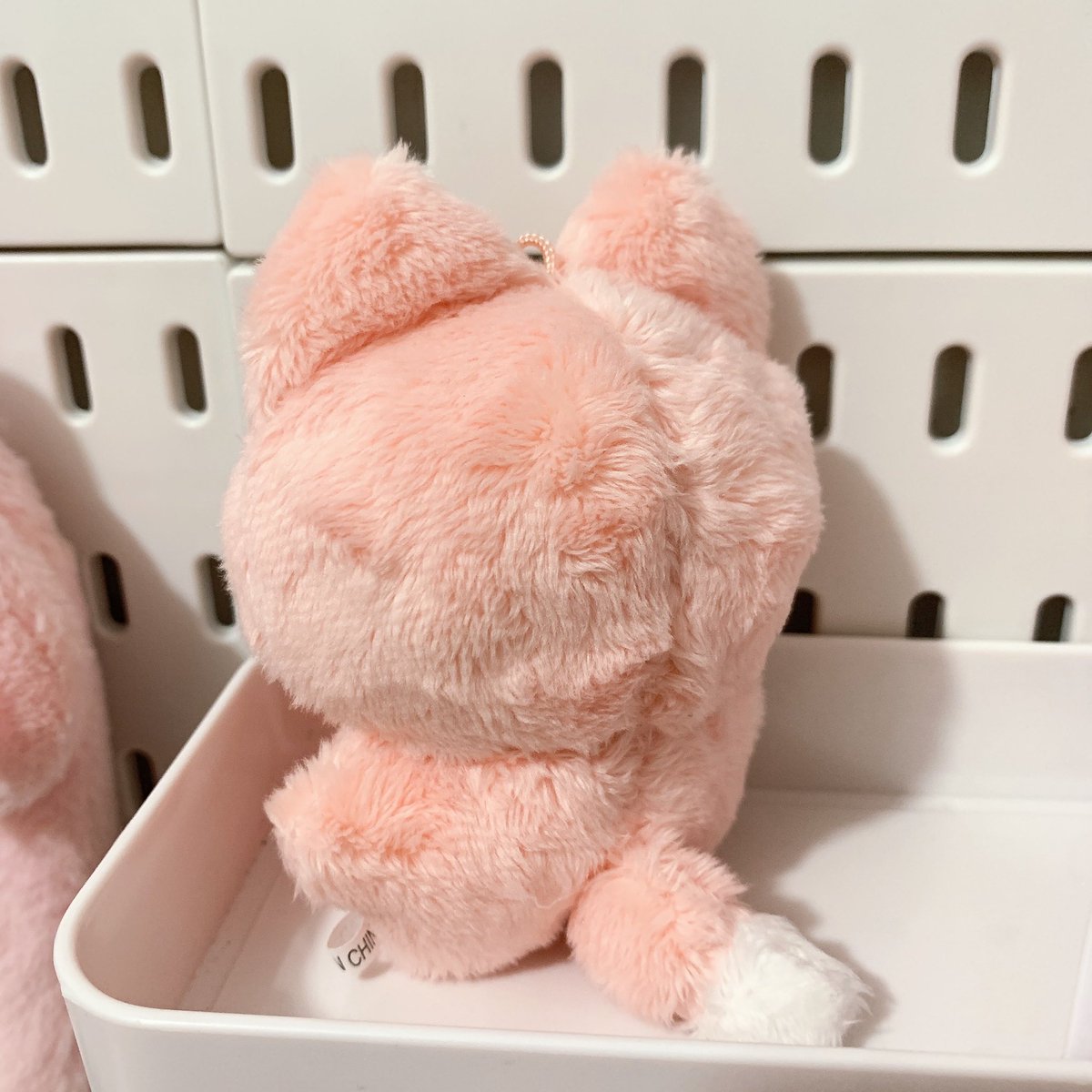 જ⁀➴   #lluvcart ﹒ wts  lfb  ph
⋆ 𓍯 ⋆  :   sunoo peach ddeon doll   ౨ৎ

  𓇼 payo / dop
   ୭ ₱580
   clean mint , card and bag included
   ⋆ reply / dm to mine 𓂃 𓏧

t. enhypen 10cm pinknoo