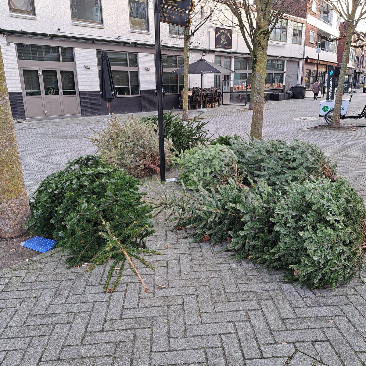 Ik vind dit altijd zo'n trieste aanblik. Afgedankte kerstbomen. RIP mooie boompjes. 😪🌲