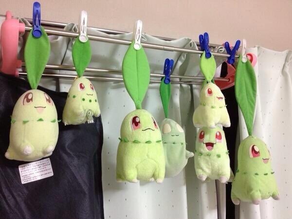 Why everyone loves Pokemon tweet media