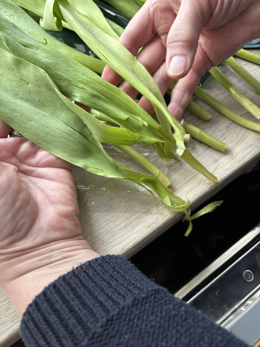 FosterRhian's tweet photo. @marksandspencer I returned to work today after a 7 month break with breast cancer. I was presented with some lovely flowers from my colleagues from M&amp;S. 
when I opened the wrapper, they looked like this. Disappointed 😞 https://t.co/hfjqdBOSLW