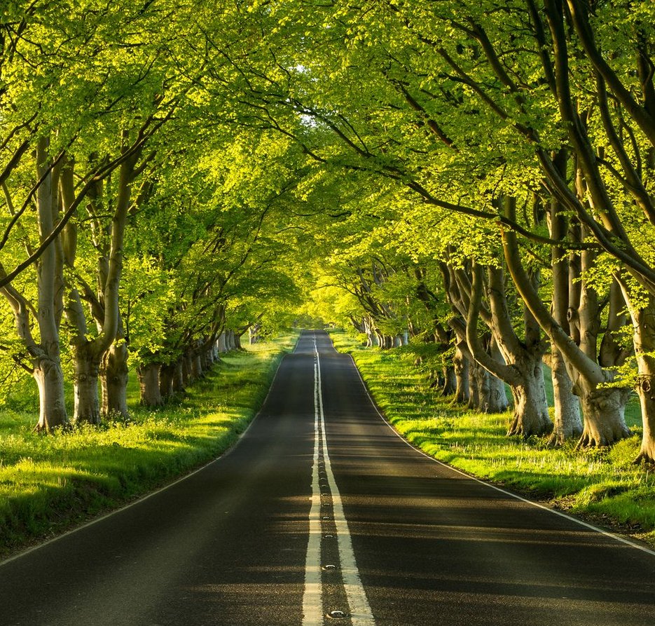 mapdon's tweet image. スマホのバッテリーが切れそうなのに、充電器持ってくるの忘れてしまった 🤯