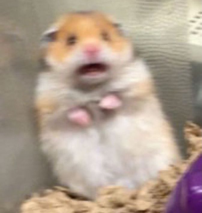 ramm_you's tweet image. #케이텐 #KEITEN