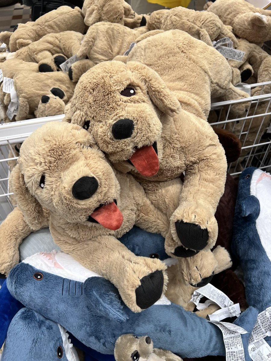 Satfern9's tweet image. ไอ้ก้อนขนสีน้ำตาลนั่นหน่ะเหรอ พี่หล่อกว่ามันตั้งเยอะ 🦮