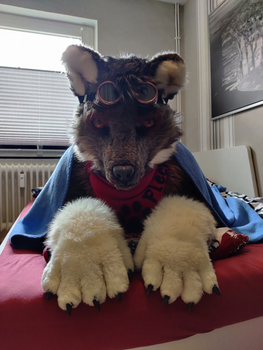 FlurryFlecky 🔜 @NFC, @Furciety tweet media