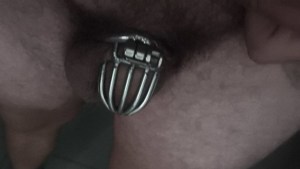 kinkypta's tweet photo. After taking my first load from my key holder. #chastity #internationalmalechastity https://t.co/5y8wZCed9N