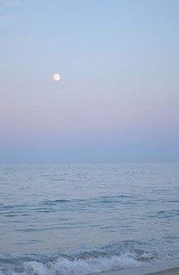 rawling99's tweet image. 今週末は家でゴロゴロしたい 🥨