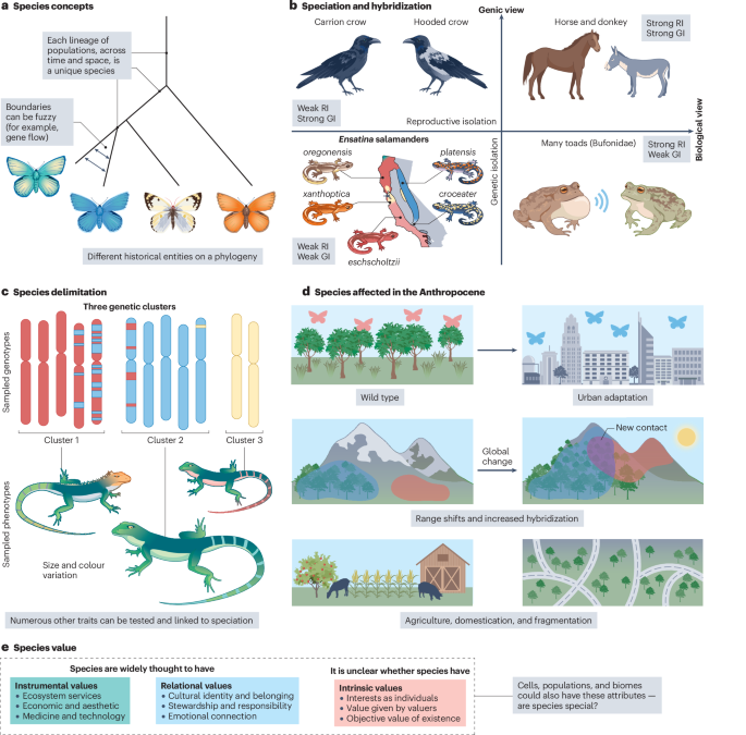 Nature Reviews Biodiversity tweet media