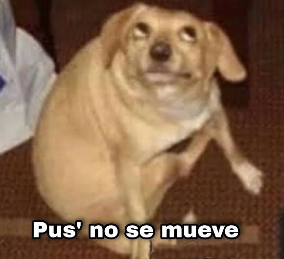 iPaupi's tweet image. Yo después de que casi me da un infarto con la Alerta Presidencial:
#AlertaSísmica #sismo #temblor