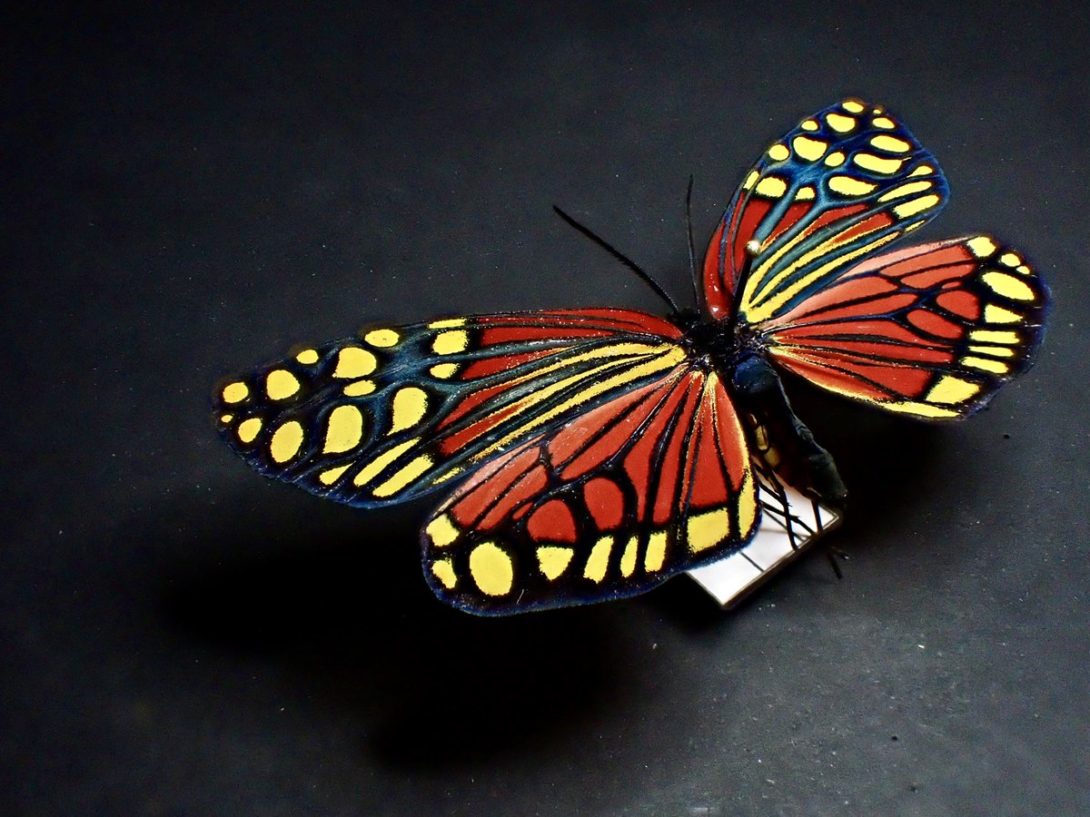 花と角」 (@dkyygbs) / Posts / X