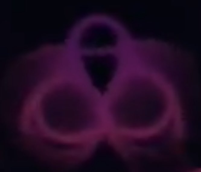 Miles Bowles tweet media