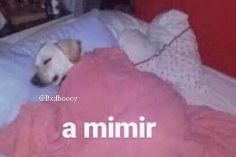 Yo con la alarma del sismo a todo volumen.