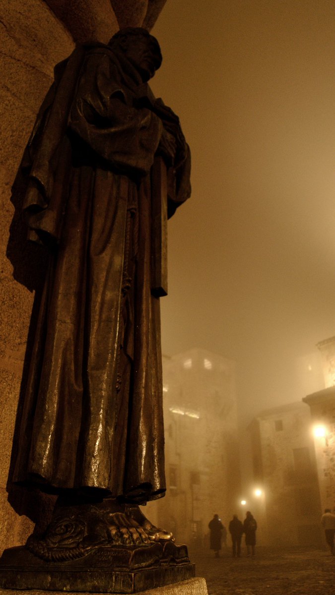 Silvia SA tweet media