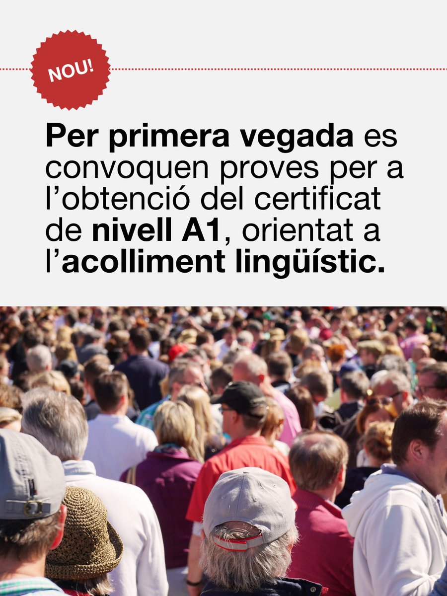 Política Lingüística tweet media