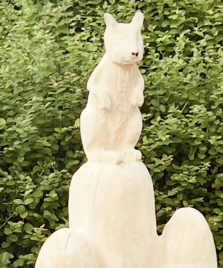 SNS Solicitors are on the look out for when the Maidstone squirrels will break hibernation to find their nuts.