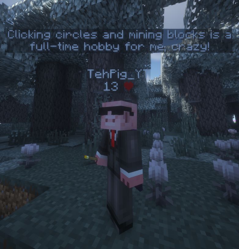 TechPigYT's tweet image. Goodbye, boring chat! 🛑

Building a better way for players to talk. Just finished the Custom Chat Display—clean, sleek, and exactly what the server needed. 💻✨

What feature should I add next? ⬇️

#MinecraftDev #SpigotMC #Java #GameDev #MinecraftPlugins